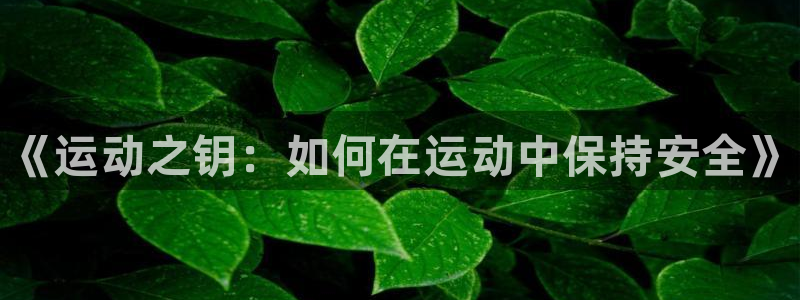 凯发官方正版app官网：《运动之钥：如何在运动中保持安全》