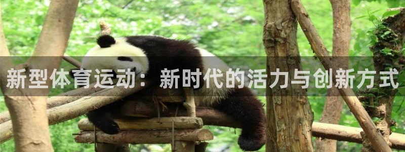 凯发官方平台体育：新型体育运动：新时代的活力与创新方