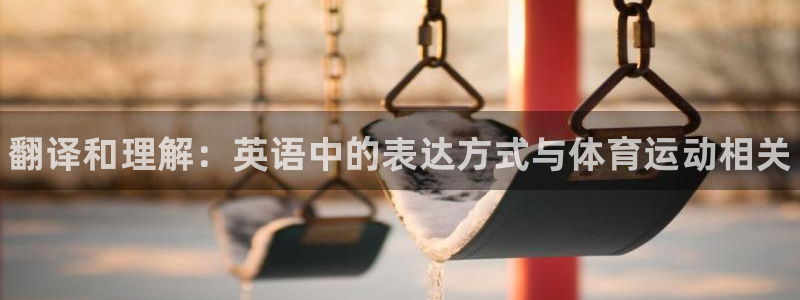 凯发官方正版app娱乐40996：翻译和理解：英语中