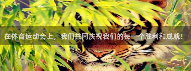 德国凯发官方正版app集团：在体育运动会上，我们共同