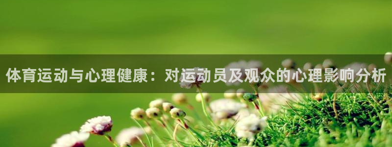 凯发官方正版app集团简介：体育运动与心理健康：对运
