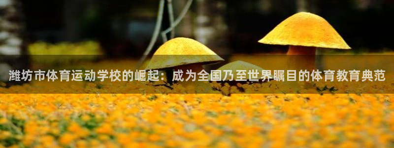 凯发官网下载招商电话号码查询是多少：潍坊市体育运动学