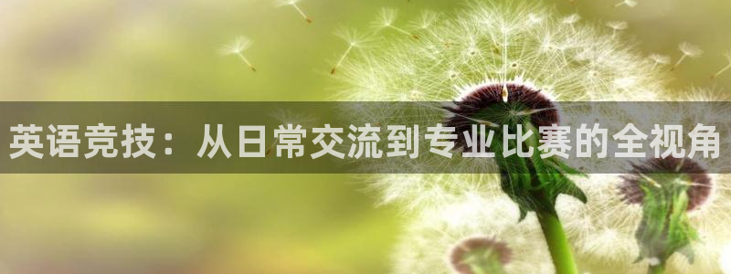 凯发官网下载平台APP：英语竞技：从日常交流到专业比