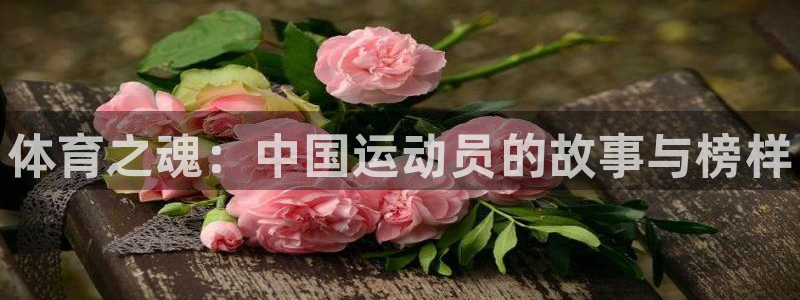 凯发官网下载招商电话：体育之魂：中国运动员的故事与榜