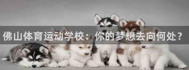 凯发官方正版app娱乐首页官网下载：佛山体育运动学校