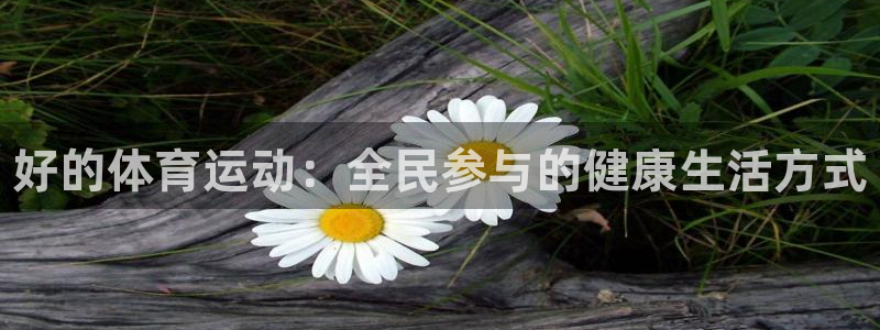凯发官方正版app神州：好的体育运动：全民参与的健康生活方式
