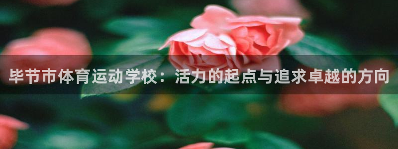 凯发官网下载平台注册流程图：毕节市体育运动学校：活力