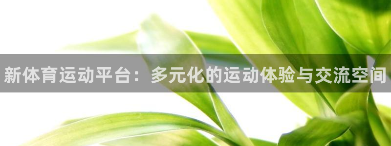 凯发官网下载招商电话地址查询
