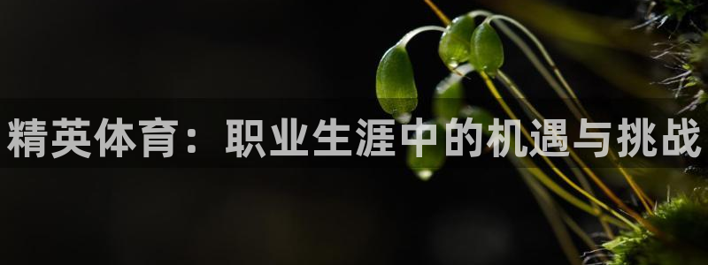 凯发官方正版app娱乐：精英体育：职业生涯中的机遇与