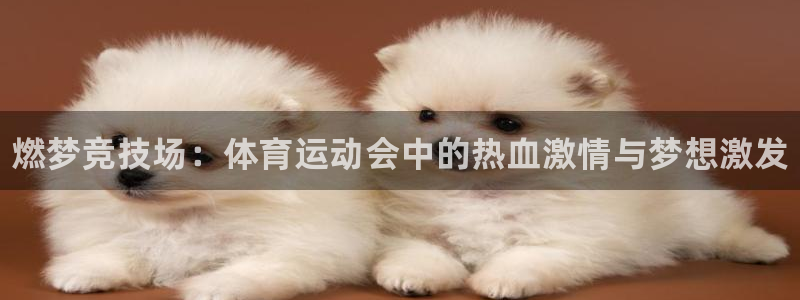 凯发官方正版app娱乐首页官网下载