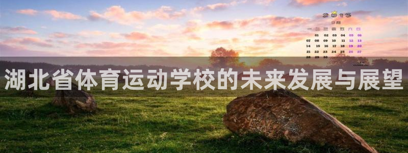 凯发官网下载平台：湖北省体育运动学校的未来发展与展望