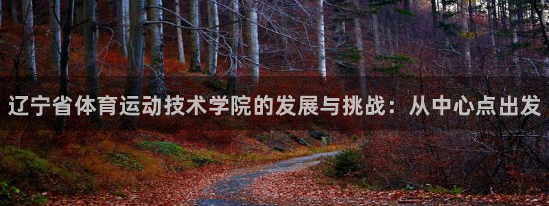 凯发官方正版app五金厂：辽宁省体育运动技术学院的发