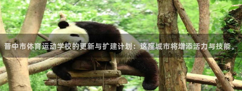凯发官方正版app娱乐40996：晋中市体育运动学校