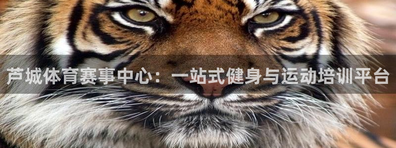 凯发官网下载招商电话号码查询是多少：芦城体育赛事中心
