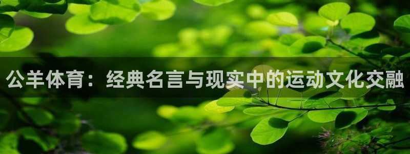 凯发官网下载招商电话号码是多少啊：公羊体育：经典名言