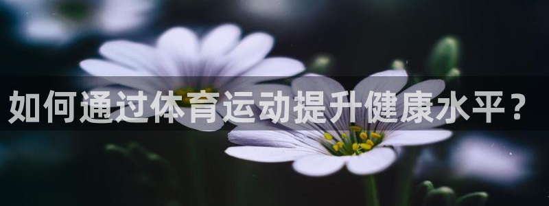 凯发官网下载招商电话号码查询：如何通过体育运动提升健
