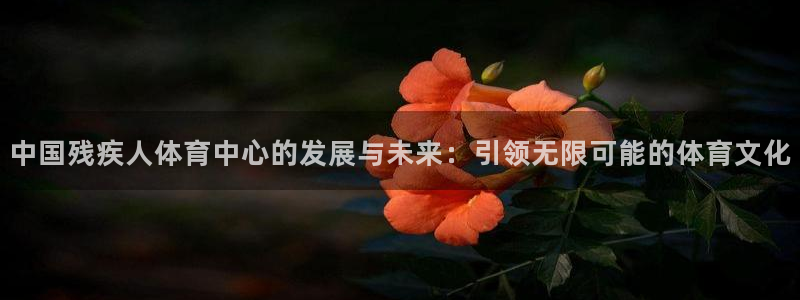 凯发官网下载平台注册：中国残疾人体育中心的发展与未来：引领无