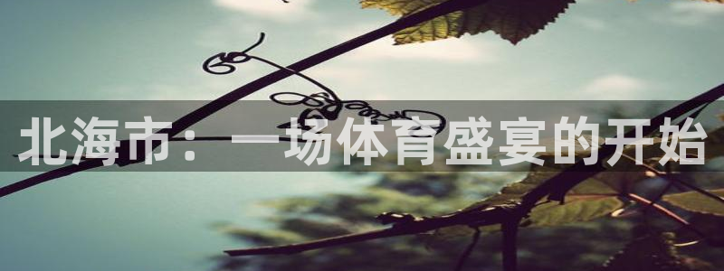 凯发官方正版app新能源：北海市：一场体育盛宴的开始