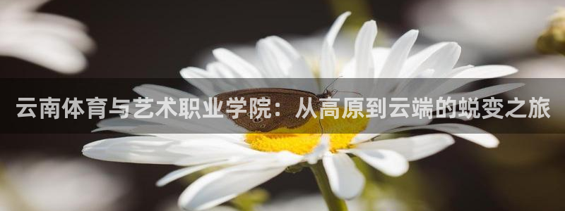 凯发官网下载：云南体育与艺术职业学院：从高原到云端的蜕变之旅