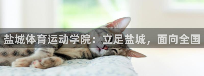 凯发官网下载平台