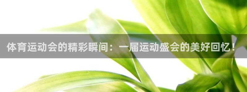 凯发官方正版app科技：体育运动会的精彩瞬间：一届运动盛会的