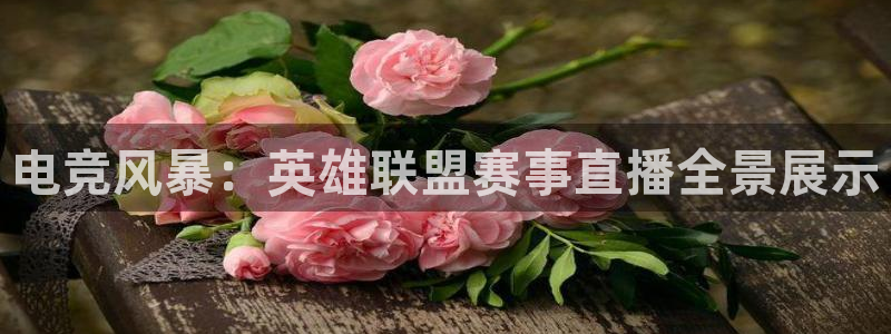 劲爆体育节目表直播