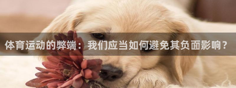 凯发官网下载招商电话是多少号码