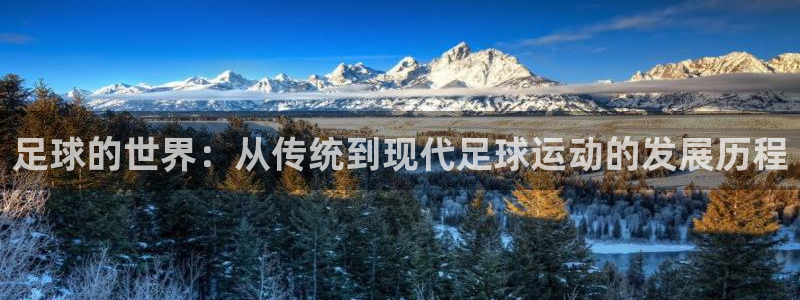凯发官方正版app新能源:足球的世界:从传统到现代足球运动的