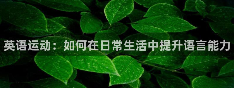凯发官方正版app娱乐首页网站大全