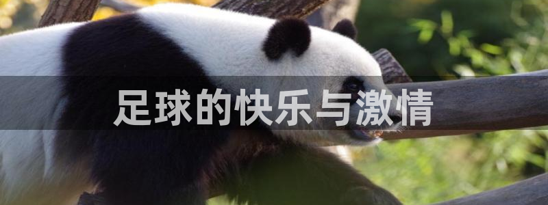 凯发官网下载联系电话：足球的快乐与激情